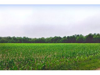 Property photo 5 - LAND AUCTION - 308+/- ACRES IN 7 TRACTS IN CARROLL & WHITE COUNTY, INDIANA